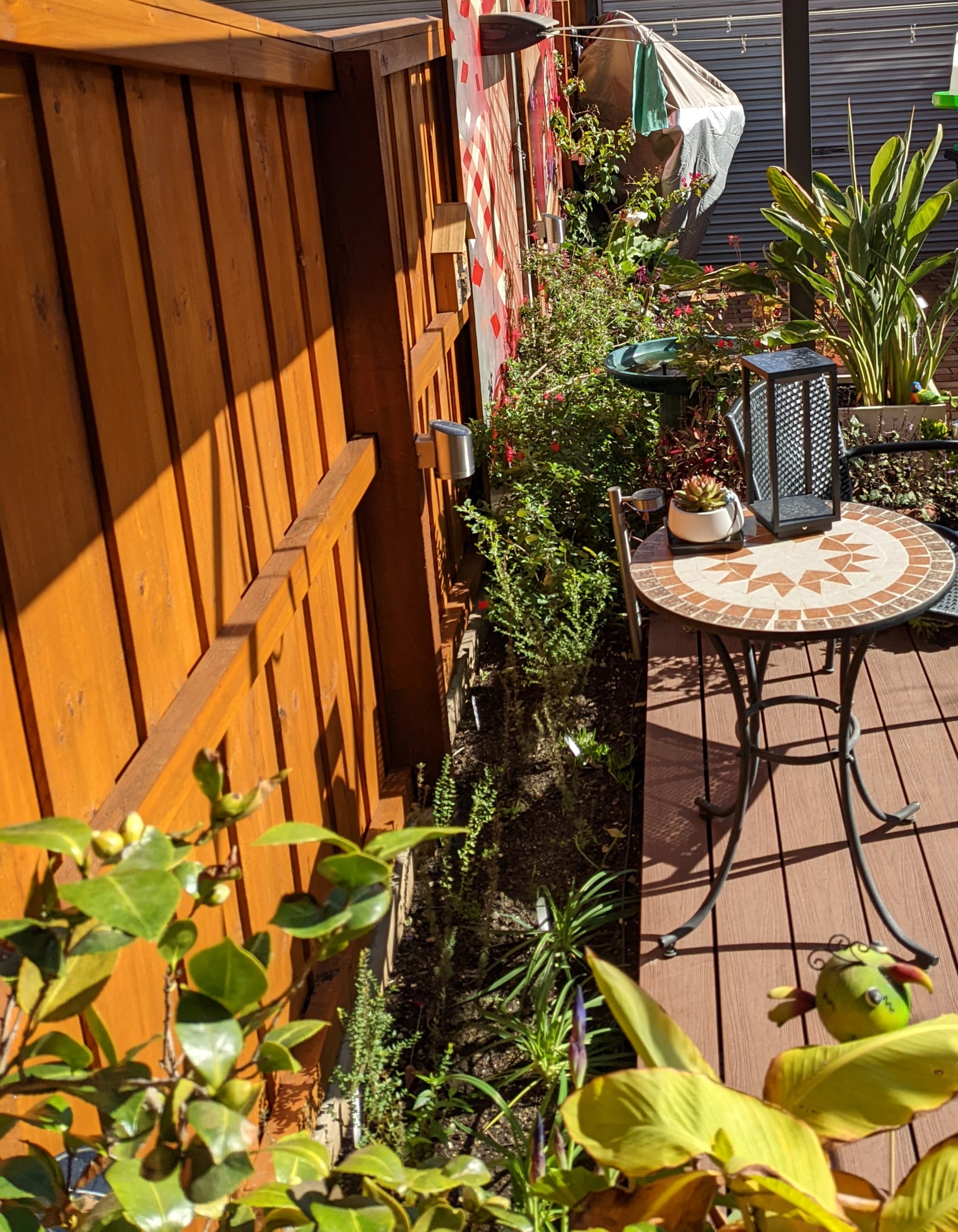 Image of Thomas's garden in Kensington