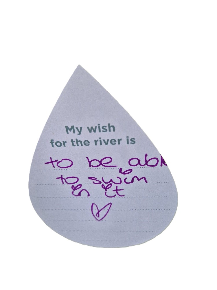 My wish for the river is to be able to swim in it.