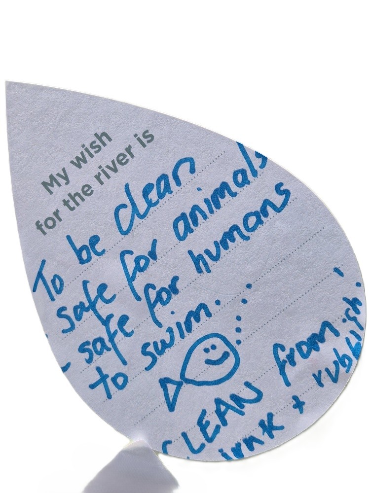 My wish for the river is to be clean and safe for animals and safe for humans to swim. 
