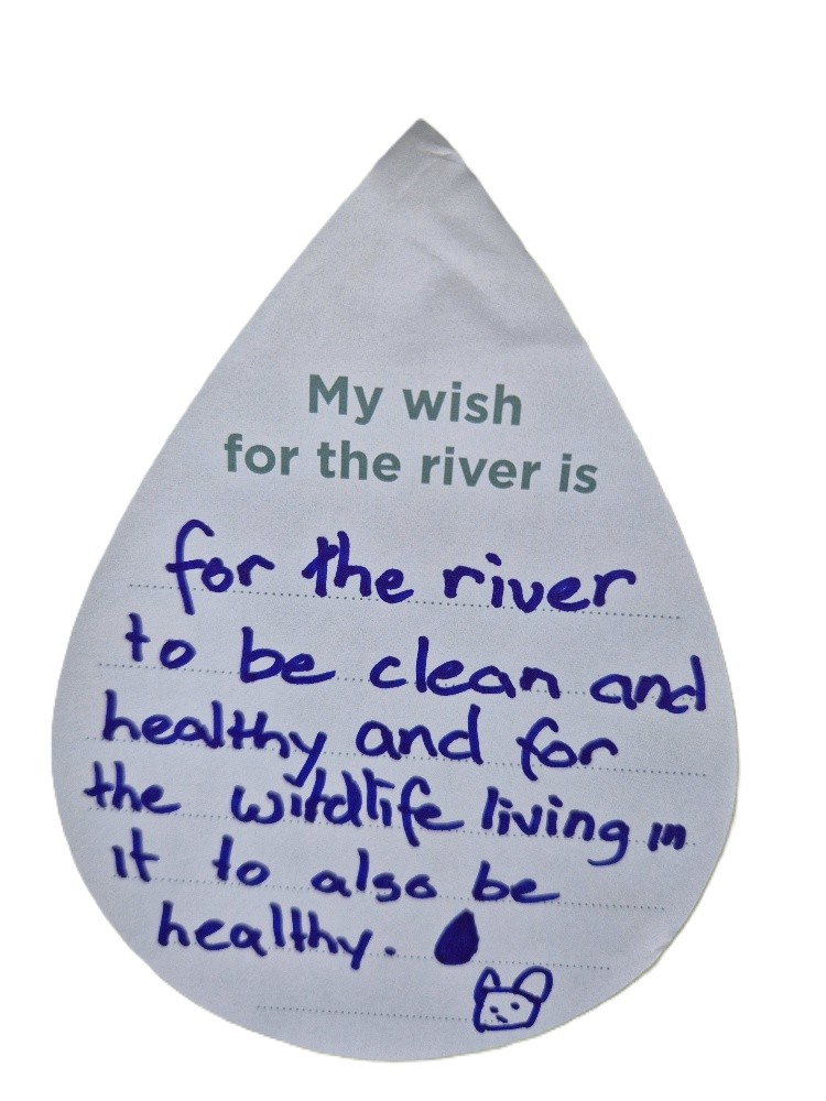 My wish for the river is for the river to be clean and healthy and for the wildlife living in it to also be healthy.