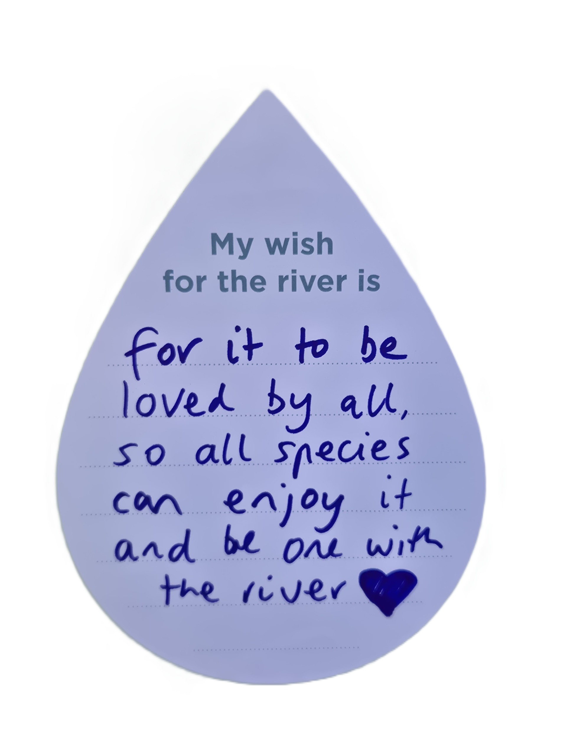 My wish for the river is for it to be loved by all, so species can enjoy it and be one with the river.