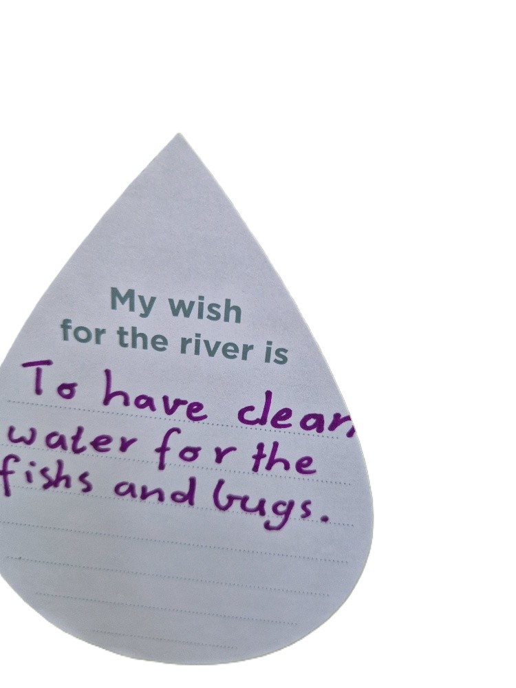 My wish for the river is to have clean water for the fish and bugs.