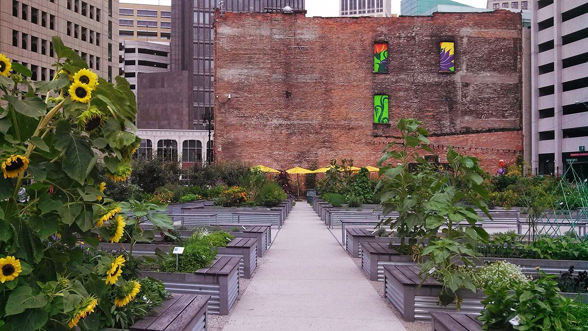 Detroit_Downtown_Garden.jpg