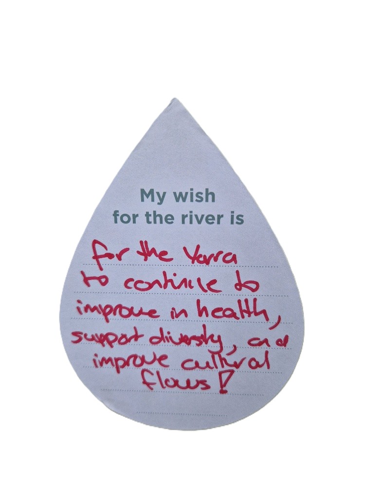 My wish for the Yarra is to continue to improve in health, support diversity, and improve cultural flows!