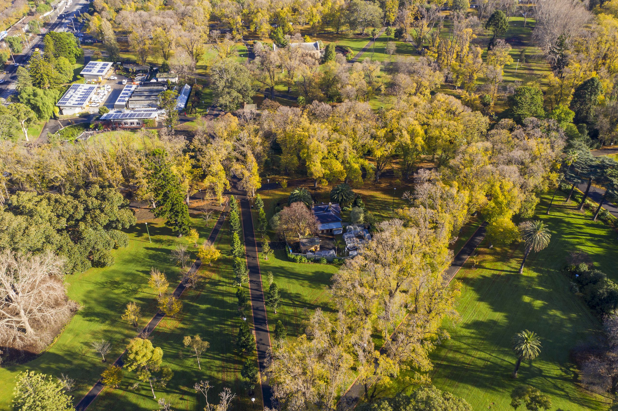 Discover more about East Melbourne Participate East Melbourne