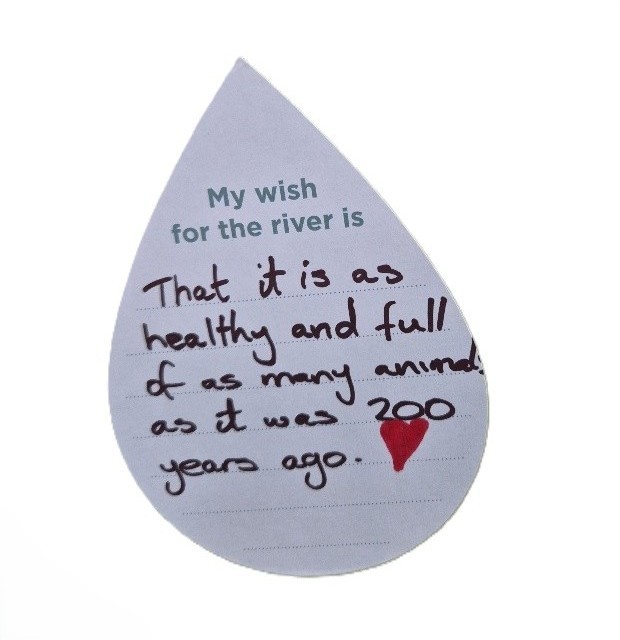 My wish for the river is that it is as healthy and full of as many animals as it was 200 years ago.