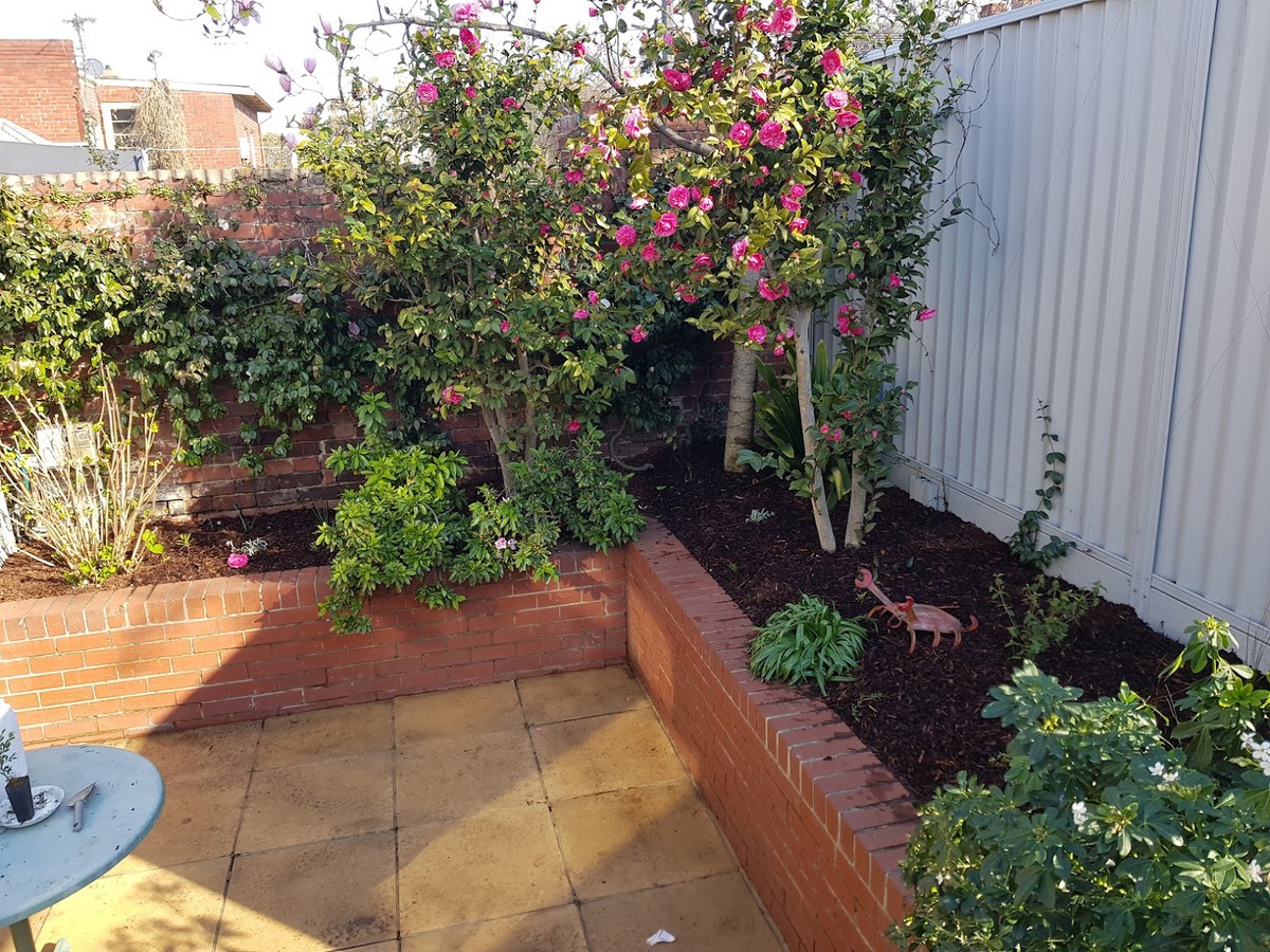 Image of Kate's courtyard garden in North Melbourne.