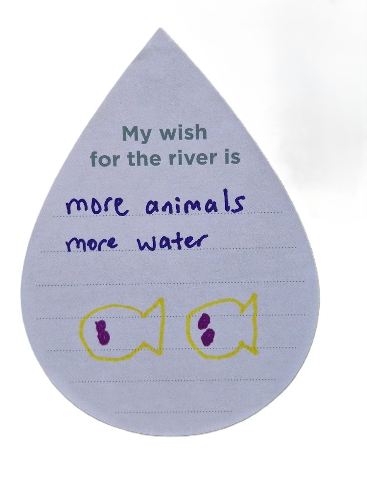 My wish for the river is more animals and more water.