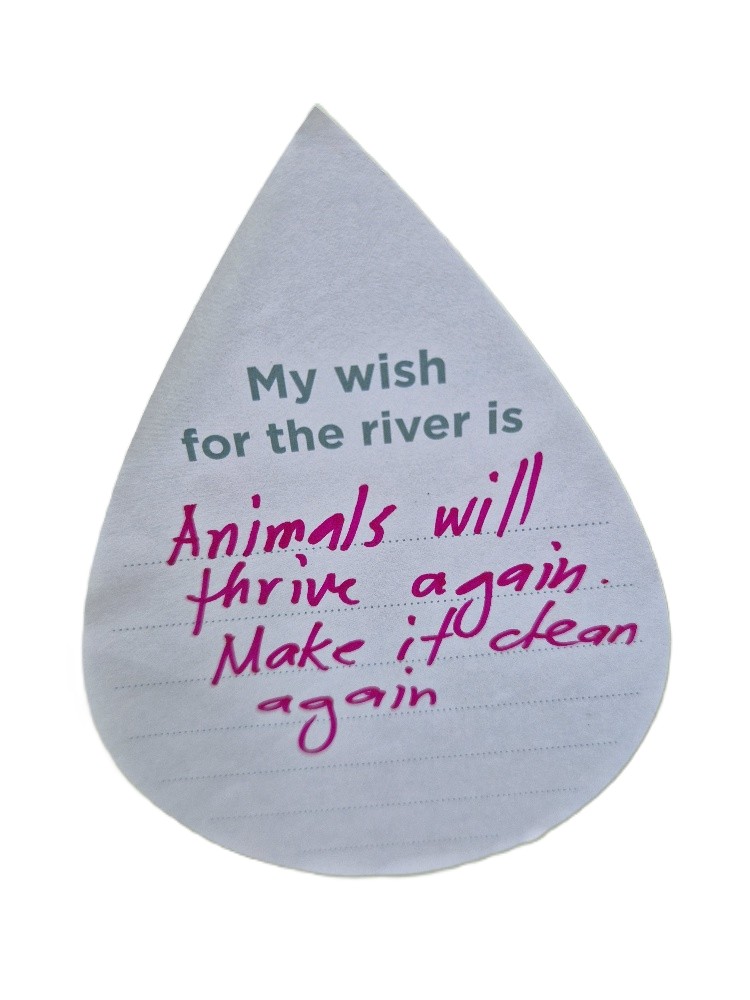 My wish for the river is animals will thrive again. Make it clean again.