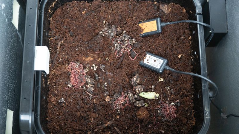 Compost moisture and pH level sensors installed in the worm farm to track soil health.