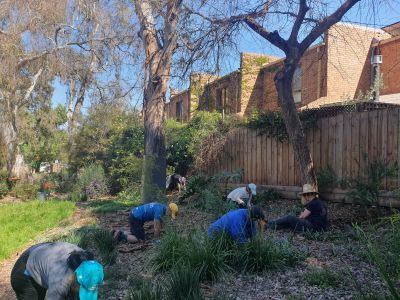 People working on a garden bed. 