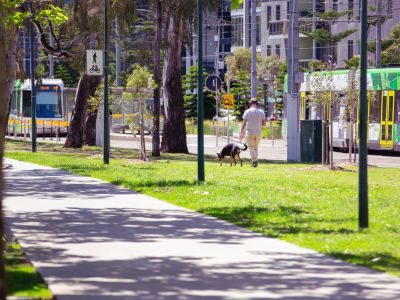A shared path through a leafy park with tram stops in the background. 