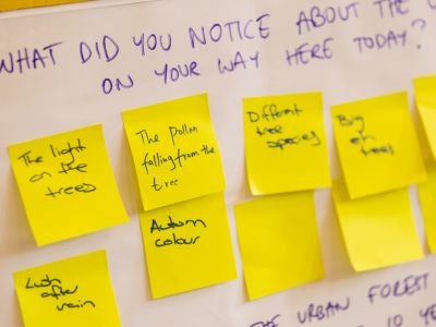 Butchers paper showing post it notes with comments written by the participants about what they noticed about the urban forest on their way to the workshop. 