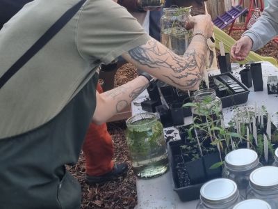 People standing around a trestle table with jars and plants on it. 